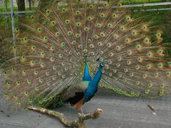 -福建鲤鱼洲酒店