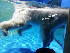 -大连圣亚海洋世界