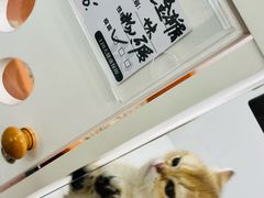 -福田卓悦INTOWN购物中心