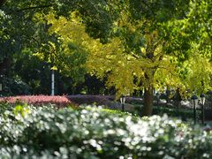 -苏州河梦清园环保主题公园