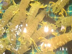 -驻海渔市(置信店)