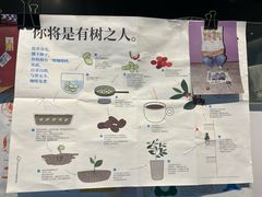 -Seesaw Coffee(上海尚悦湾店)