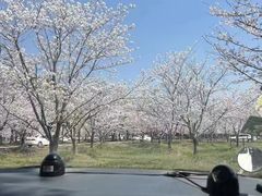 -无忧学车·大众驾校(长宁校区)
