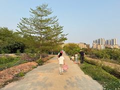 -新塘水果乐园(东洲大道店)