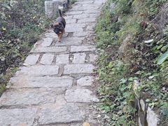 -北京凤凰岭