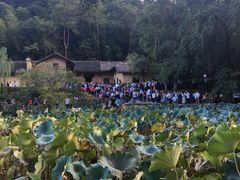 -韶山毛泽东同志故居