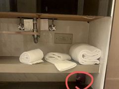 -上海虹桥宾馆(郁锦香品牌酒店)