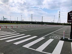 -迪士尼乐园停车场