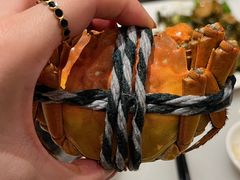 -华盛丰温州大排档(东三环南路店)