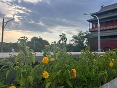 -苦尽酒馆·川菜(鼓楼店)