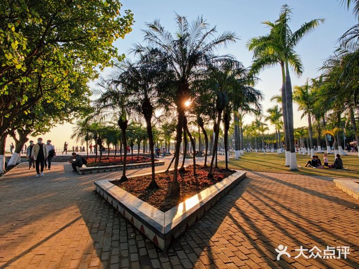 滨海公园图片