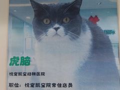 -悦宠凯宝动物医院·牙科·皮肤科(朝阳北路店)