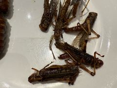 -川骄海鲜自助(亚运村店)