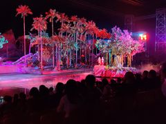 -三亚红色娘子军演艺公园景区