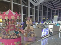 -张家界荷花国际机场