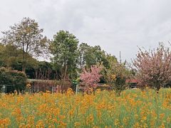 -洪湖家庭农场·团建·露营·会议