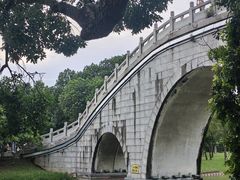 -顺峰山公园