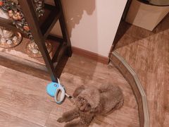 -SABAI THAI SPA泰式按摩体验馆(北城天街店)