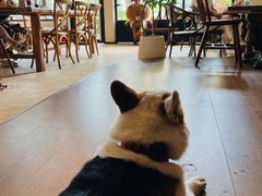 -MIMO CAFE(沙头角店)