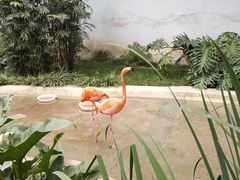 -成都动物园