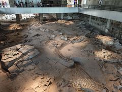 -自贡恐龙博物馆