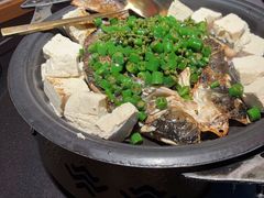 -探鱼·鲜青椒爽麻烤鱼(领展购物广场店)