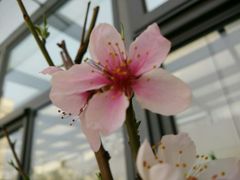 -必胜客(滨江店)