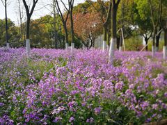 -白塘生态植物园
