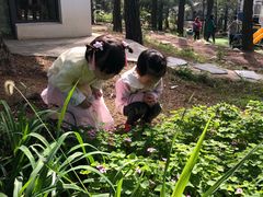 -竹上云想餐厅民宿