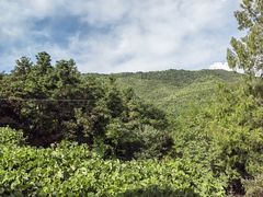 -大围山国家森林公园