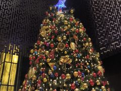 -北京希尔顿逸林酒店