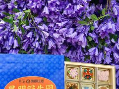 -昆明冠生园·蛋糕·面包(南强街店)