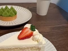 -猫里有甜