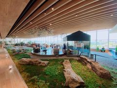 -Seesaw Coffee(朝阳大悦城店)