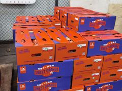 -上海龙吴水胜海发市场