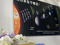 -志强陨石馆(双季花艺店)