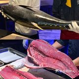 郑州日料顶级开鱼宴🐟现切现吃是真的鲜🍣