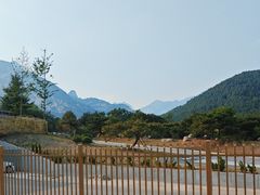 -泰山风景名胜区-普照寺
