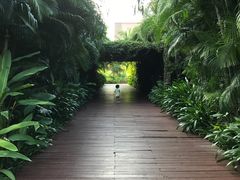 -三亚湾红树林度假世界(木棉酒店)