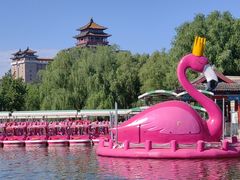 -莲花池公园