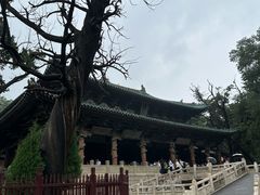-晋祠公园