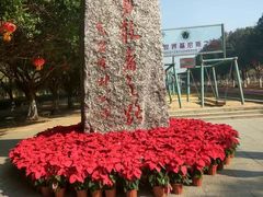 -广东茂名森林公园