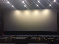 -德呈华业影城(爱琴海LUXE巨幕店)