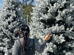 -汕头中海黄金海岸水上乐园