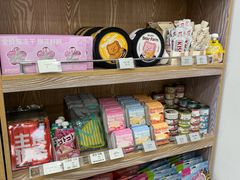 -四月宠物医院·猫专科·心脏专科·内科(转塘店)