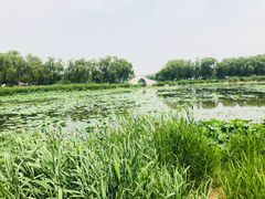 -亲兄弟真人CS团建拓展基地