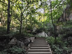 -大岭沟猕猴桃谷风景区