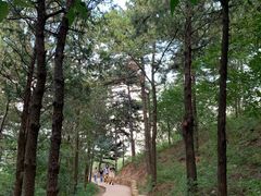 -北京西山国家森林公园