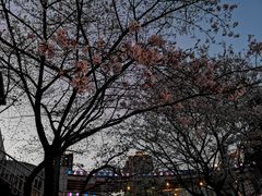 -上海南浦大桥长途旅游客运站