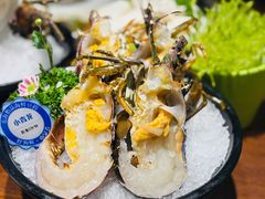 鲜活小青龙-东海怡品海鲜豆捞(西水东店)